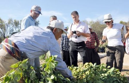Alanyalı Köylüler Uzmanından Doğru Hasat Eğitimi Aldı