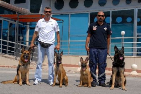 Alanya'nın Narkotik Ve Bomba Köpeği Emekliye Ayrıldı