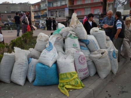 Alaplı'da kestane pazara indi