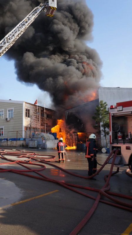 Alev topuna dönen boya fabrikasından kareler