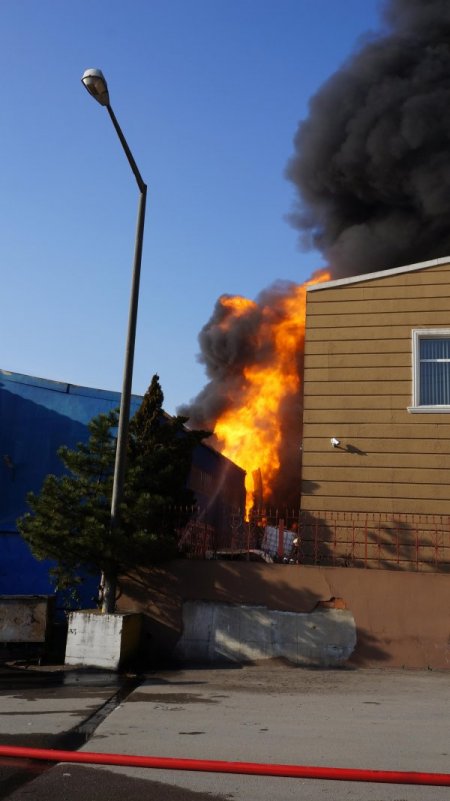 Alev topuna dönen boya fabrikasından kareler