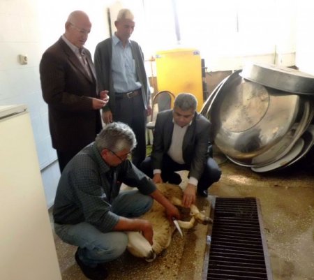 Alevi Dedesi: Yapılan hizmetler sosyal sorumluluk ve barış açısından çok önemli