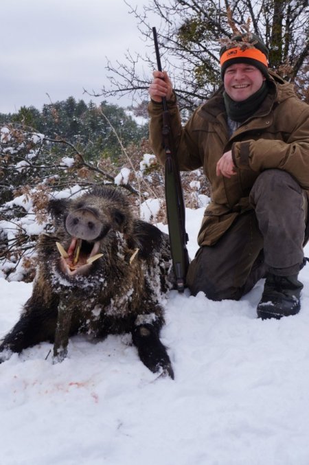 Alman avcılar, Başkent'te yaban domuzu avına çıktı