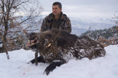Alman avcılar, Başkent'te yaban domuzu avına çıktı