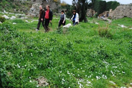 Alman turistler, Noel tatili bitimi öncesi antik kentte yürüyüş yaptı