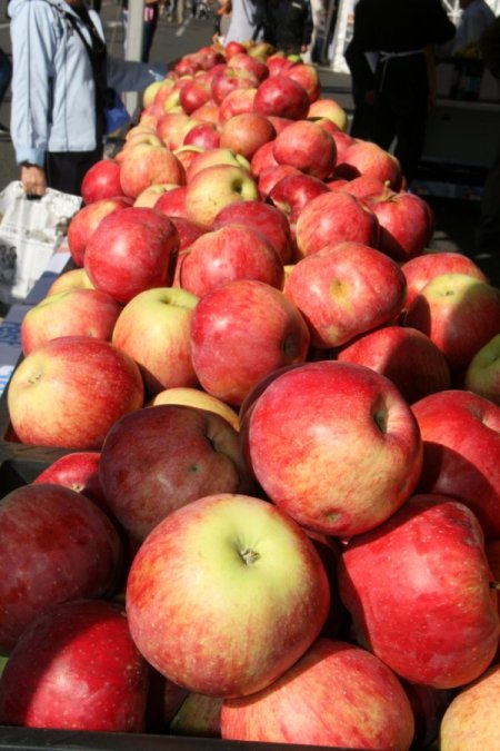 Almatı’da 'elma tadında' festival