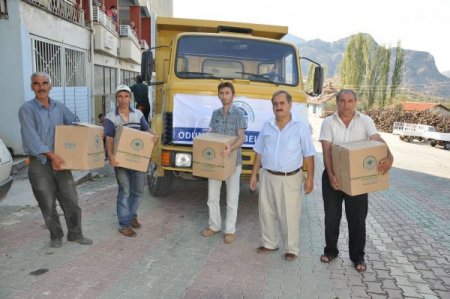 Alpagut'ta, Yaralar Sarılıyor