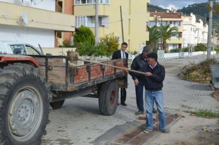 Altınoluk Belediyesi hava şartlarına karşı tedbirlerini arttırdı