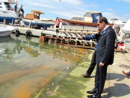 Altınoluk’ta denizi balık yumurtaları kapladı