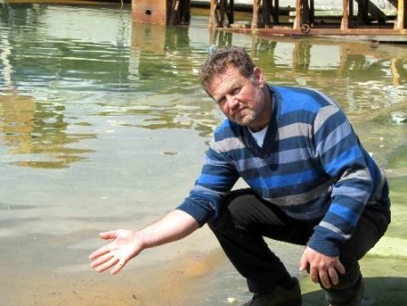 Altınoluk’ta denizi balık yumurtaları kapladı