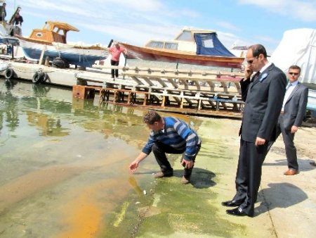 Altınoluk’ta denizi balık yumurtaları kapladı