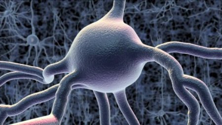 Alzheimer Ve Şizofreni Tedavisinde Çığır Açan Gelişme