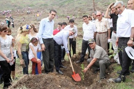 Amanoslara bin fidan dikildi