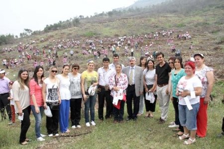 Amanoslara bin fidan dikildi