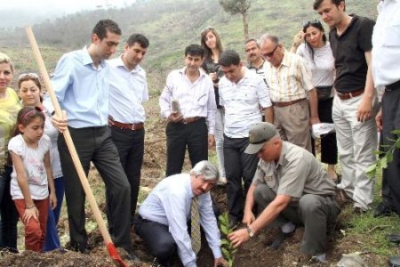 Amanoslara bin fidan dikildi