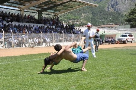 Amasya Karakucak Güreşleri’nde Başpehlivan Ali Rıza Kaya oldu