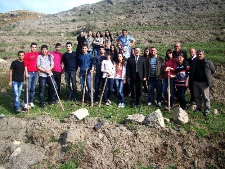 Amasya Üniversitesi öğrencilerinden ağaçlandırma çalışması