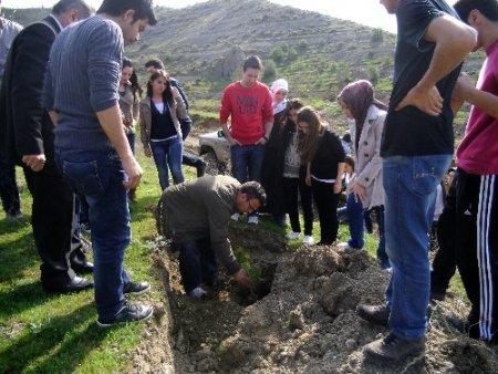 Amasya Üniversitesi öğrencilerinden ağaçlandırma çalışması