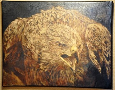 Amasya’da deri üzerine işlenmiş resim sergisi açıldı