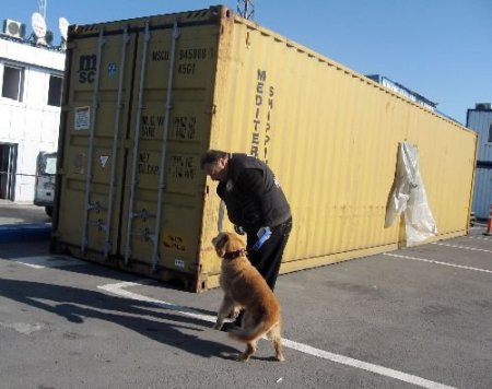 Ambarlı Limanı'nda Sahte Sigara Operasyonu