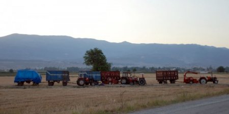 Amik'te Sel Buğday Başaklarına Zarar Verdi, Biçerdöverci İşsiz Kaldı