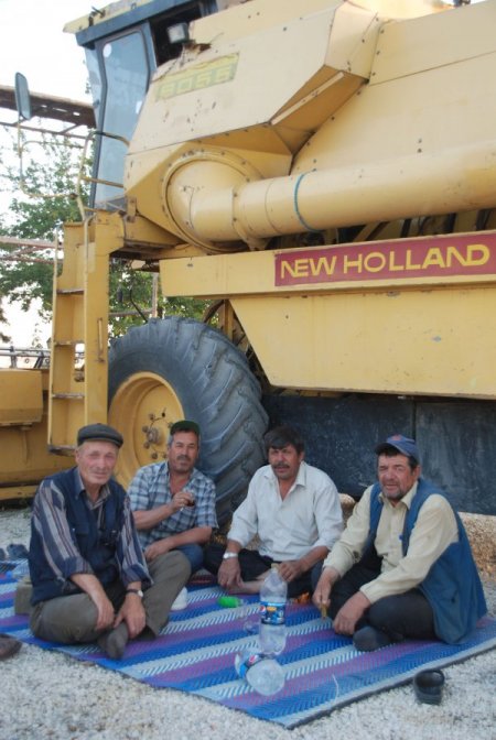 Amik'te Sel Buğday Başaklarına Zarar Verdi, Biçerdöverci İşsiz Kaldı