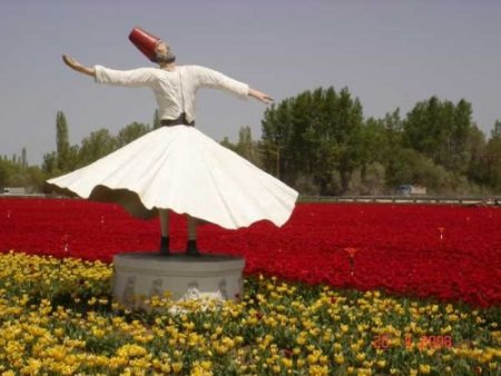 Anadolu' Dan Kaçırılan Lale, Çumra'da Yeniden Doğdu