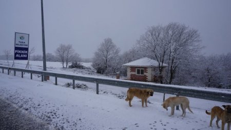 Anadolu Yakası da beyaza büründü