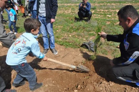Anaokulu öğrencileri fidan dikti