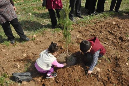 Anaokulu öğrencileri fidan dikti