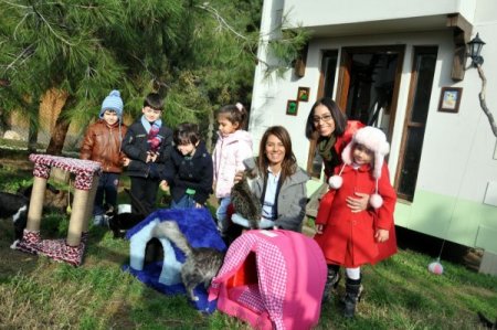 Anaokulu öğrencileri kediler için kermes düzenledi