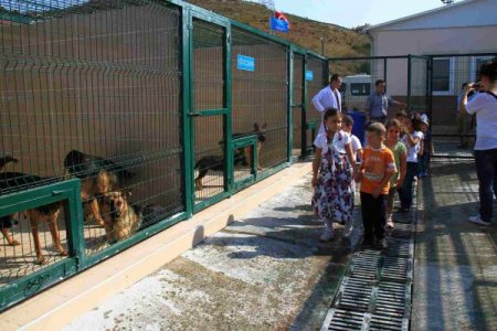 Anaokulu öğrencileri sahipsiz hayvanları ziyaret etti