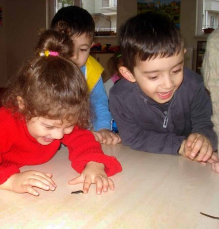 Anaokulu öğrencilerinden, tıbbi sülüklere büyük ilgi