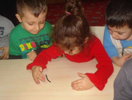Anaokulu öğrencilerinden, tıbbi sülüklere büyük ilgi