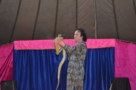 Anatolia Sirki Kozan’da