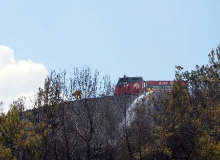 Anız ateşi orman yangınına neden oldu