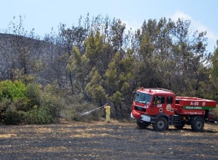 Anız ateşi orman yangınına neden oldu