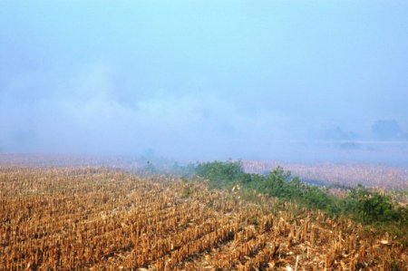 Anız Yangını Dumanı Trafiği Tehlikeye Sokuyor