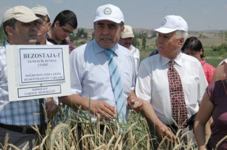Anıza Ekim Projesi Çiftçinin Yüzünü Güldürdü