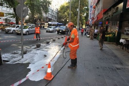 Ankara Caddelerine 'şok Operasyonlarla' Sonbahar Temizliği Yapılacak