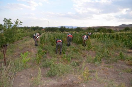 Ankara'da bir yılda 1 milyon 2 bin 215 litre kaçak akaryakıt ele geçirildi