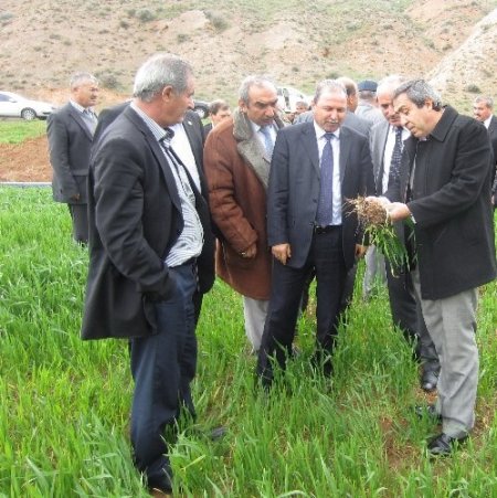 Ankara’da süneyle mücadele çalışmaları başladı