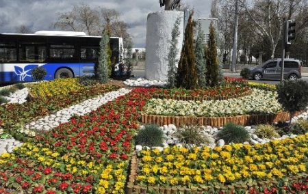 Ankara’ya bu yıl 150 bin ağaç dikiliyor