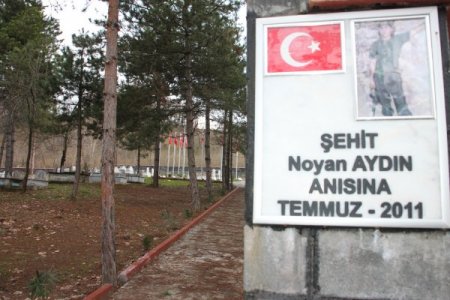 Anne Aydın: Türk-Kürt ayrımı yaparak insanları birbirine kırdırmasınlar