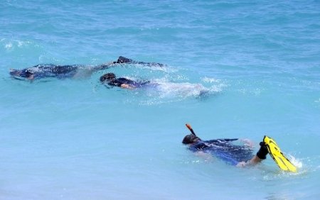 Antalya Büyükşehir Belediyesi'nden çevre seferberliği