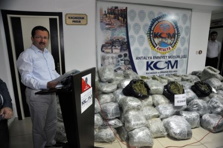 Antalya polisi, 247 kilo 292 gram kubar esrar maddesi ele geçirdi