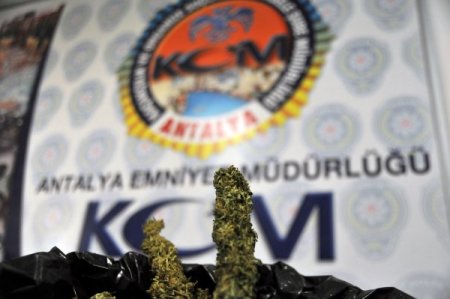 Antalya polisi, 247 kilo 292 gram kubar esrar maddesi ele geçirdi