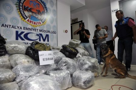 Antalya polisi, 247 kilo 292 gram kubar esrar maddesi ele geçirdi