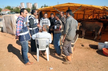 Antalya Polisi, Kurbanlık Satışında Sahte Para Kullanılmasına Karşı Uyardı