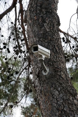 Antalya'da Mezarlık Hırsızlarına Karşı Kameralı Önlem
